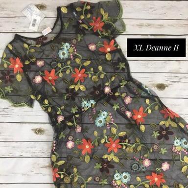 Deanne 2024 ii lularoe