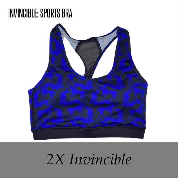 Invincible sports hot sale bra lularoe