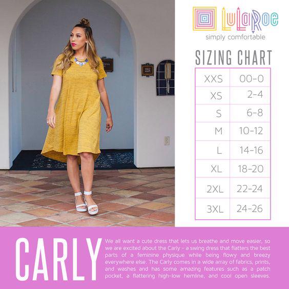 Sandee Rain Boutique - LuLaRoe Disney Carly Dress LuLaRoe Dresses