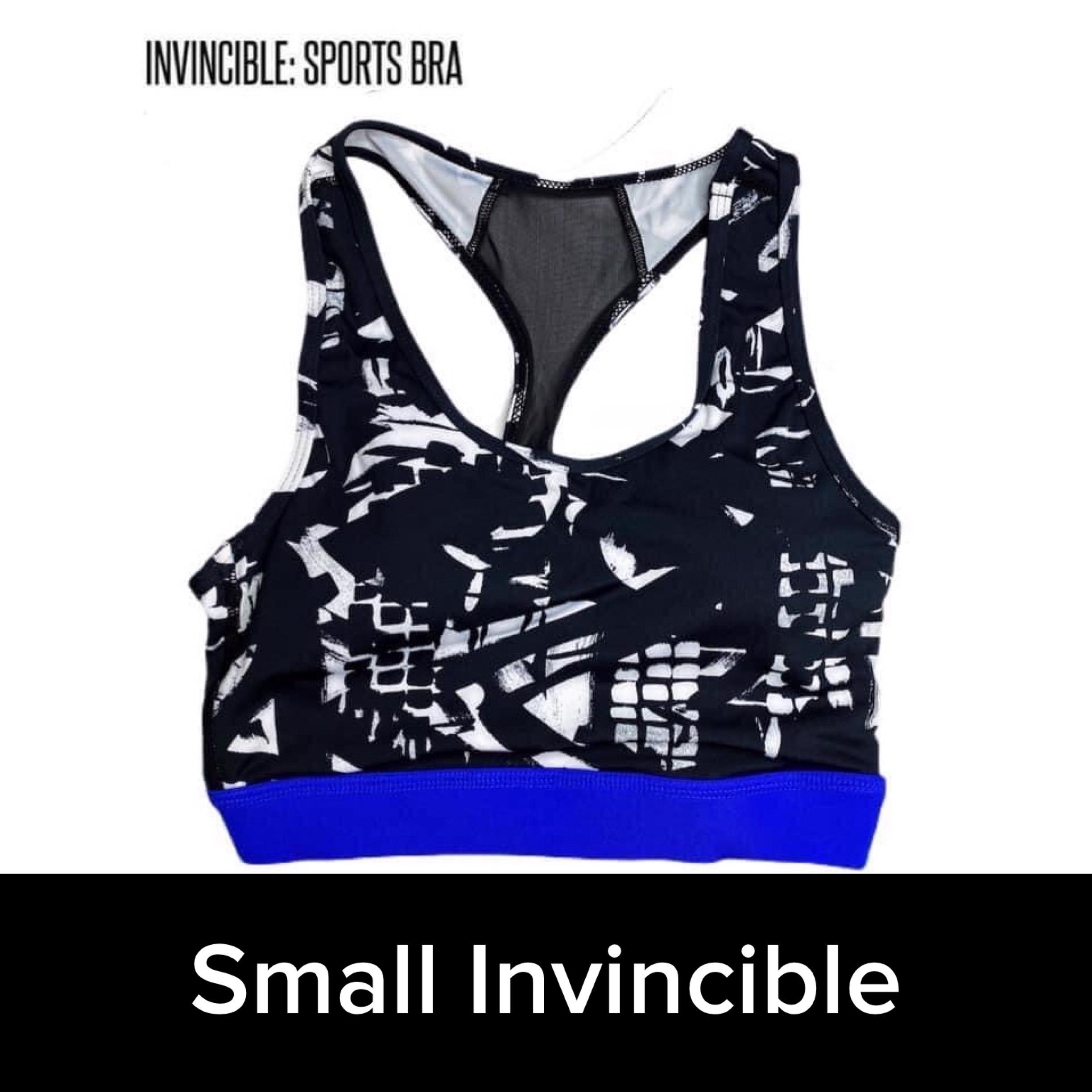 Invincible sports hot sale bra lularoe